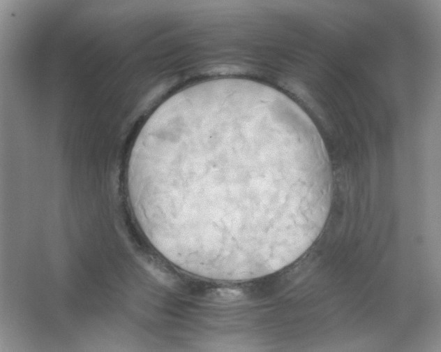 X0000063470159200602172005