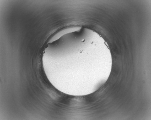 X0000063470164200602172005