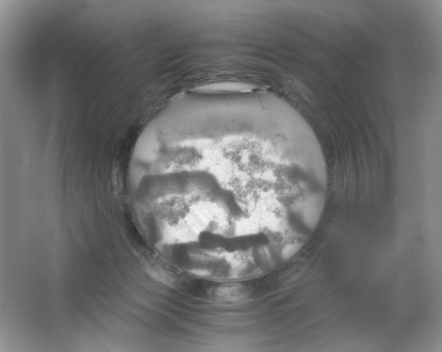 X0000063470173200602172005