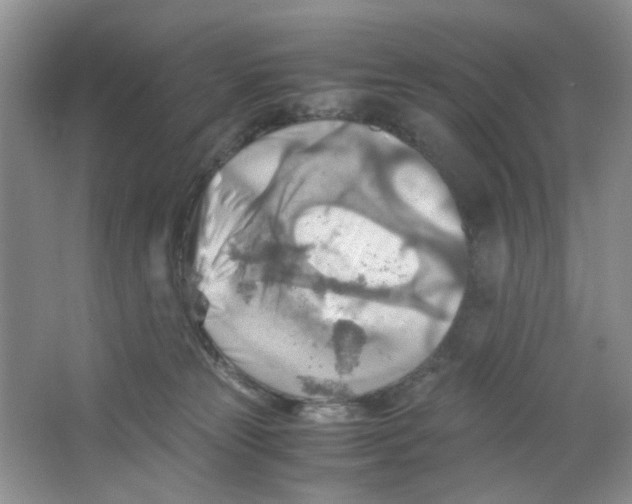 X0000063470181200602172005