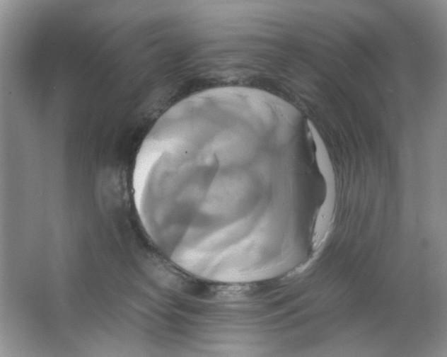 X0000063470182200602172005