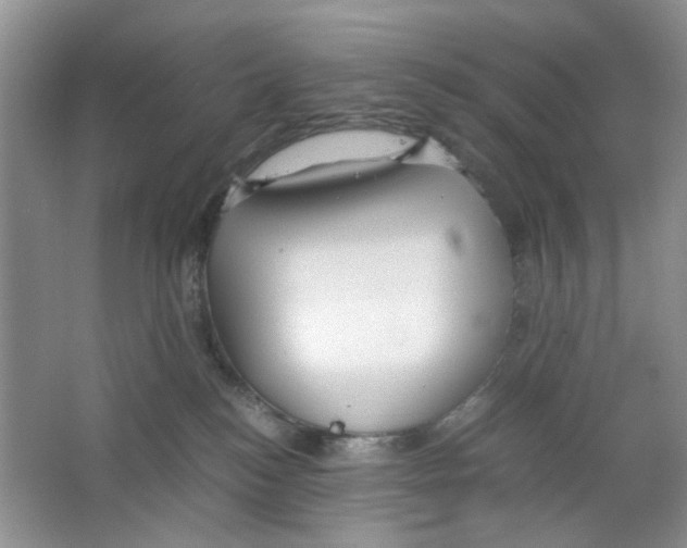 X0000063470184200602172005