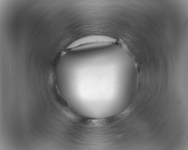 X0000063470188200602172006