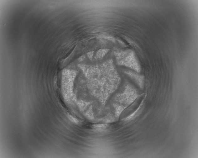 X0000063470192200602172006