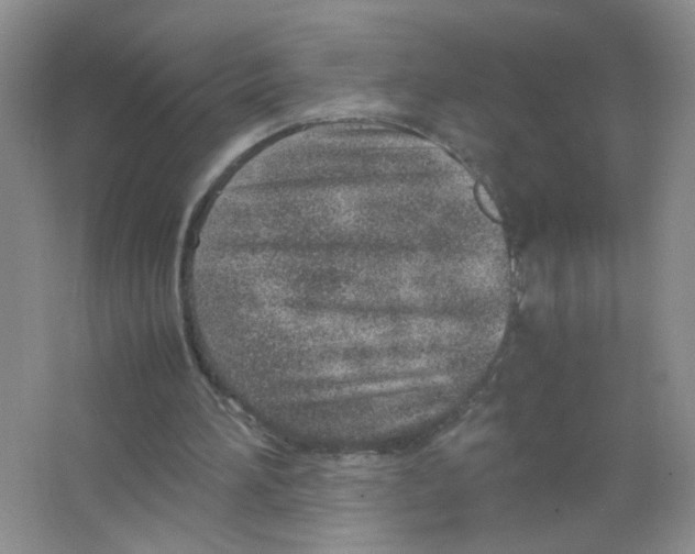 X0000063470196200602172005