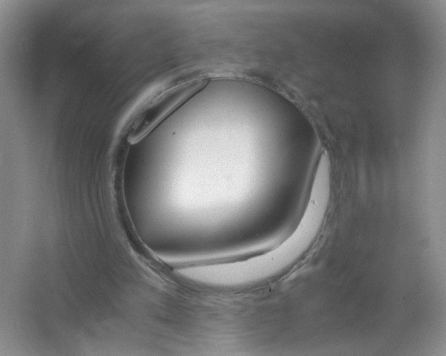 X0000063470197200602172005