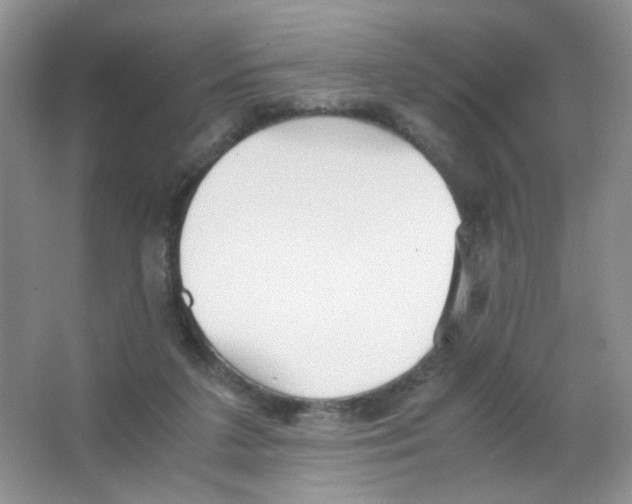 X0000063470211200602172004