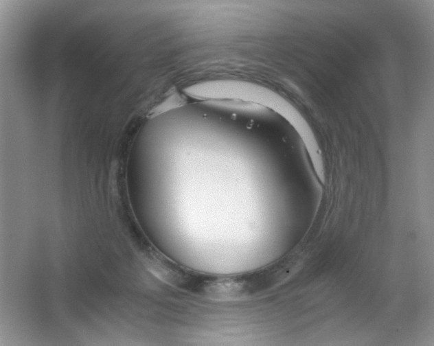 X0000063470217200602172004