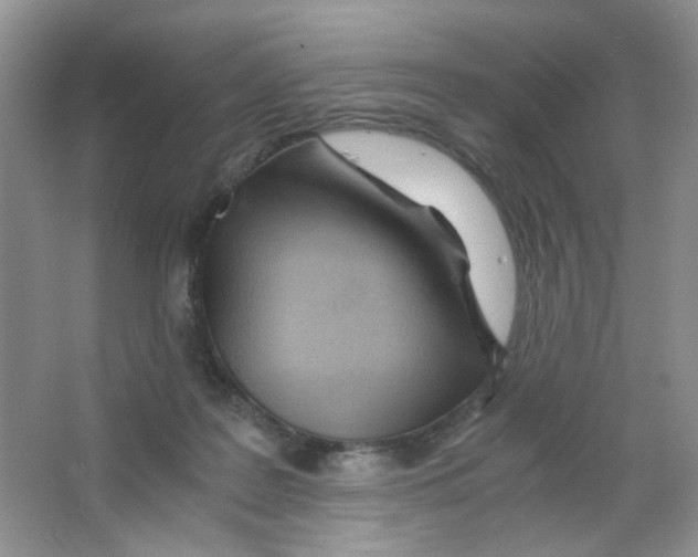 X0000063470219200602172004