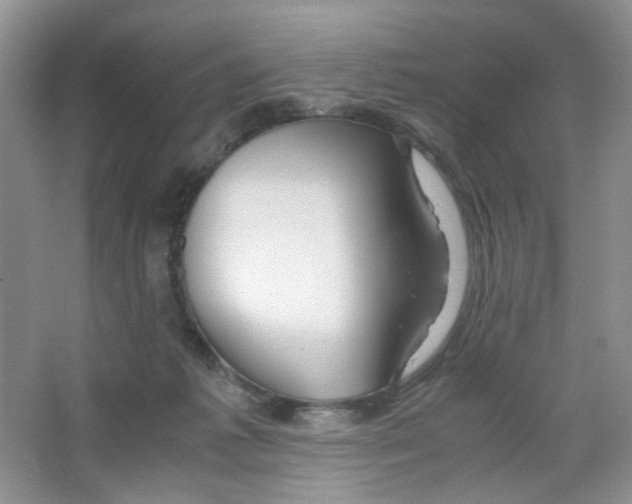 X0000063470221200602172004