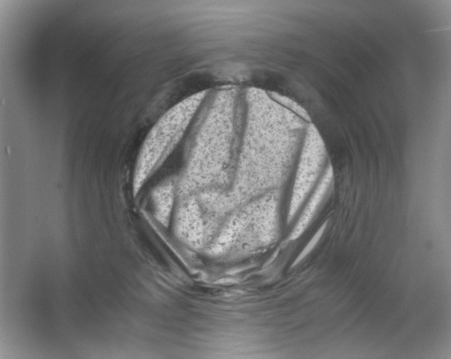 X0000063470229200602172004