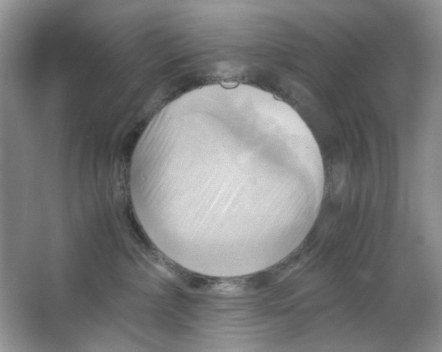 X0000063470236200602172004