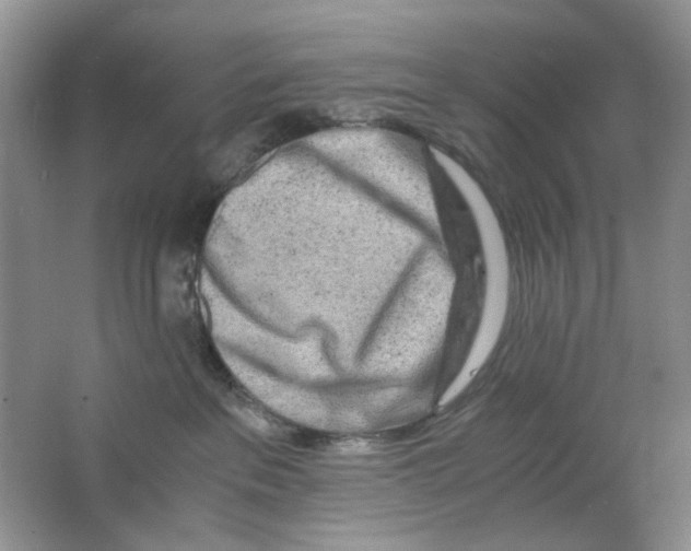 X0000063470237200602172004