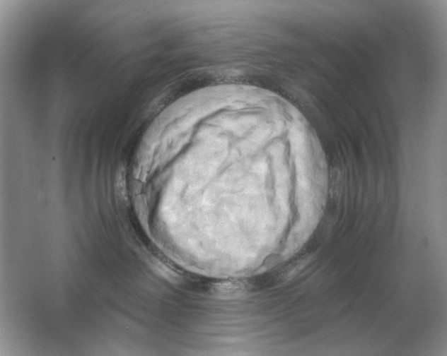 X0000063470238200602172004