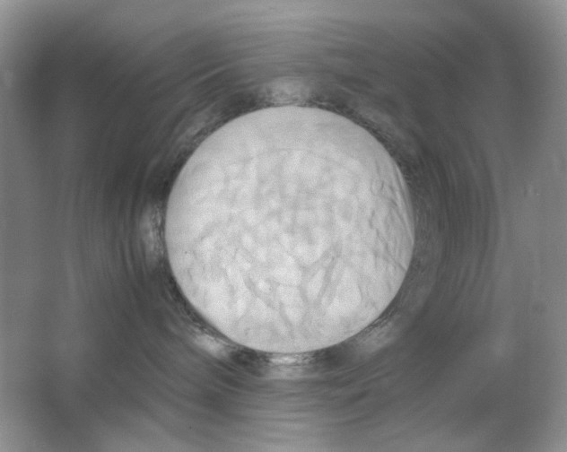 X0000063470240200602172004