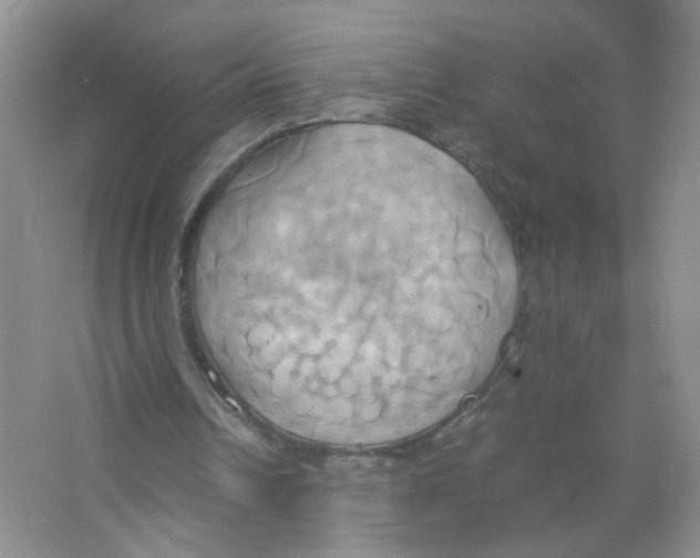 X0000063470242200602172003