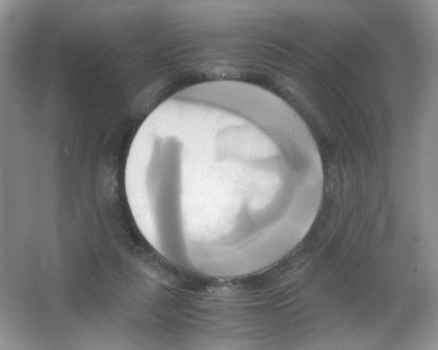 X0000063470259200602172003