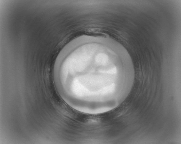 X0000063470263200602172003