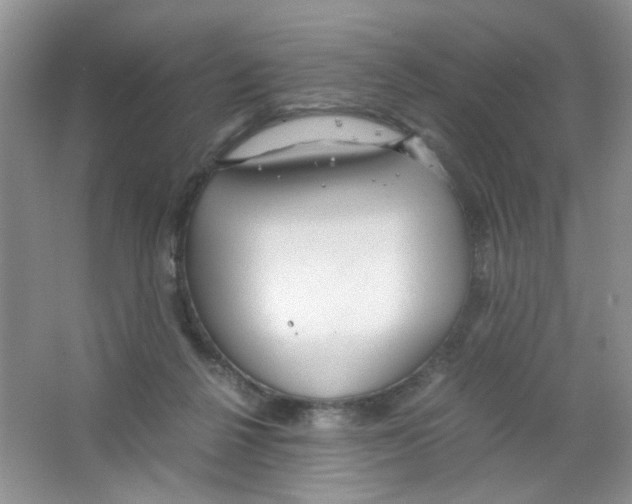 X0000063470264200602172003