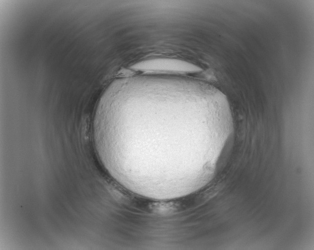 X0000063470273200602172004