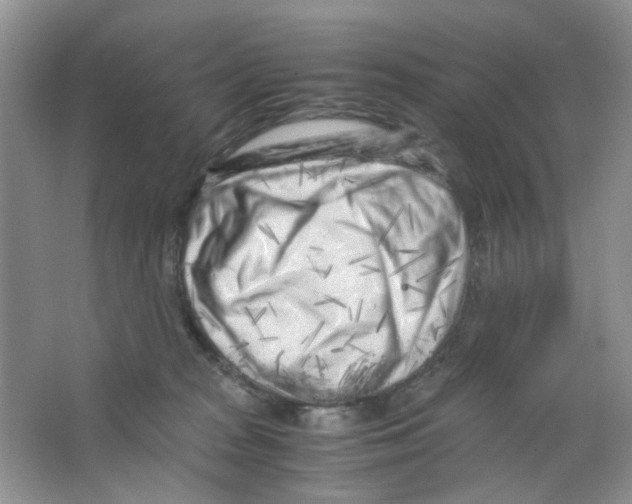 X0000063470277200602172004