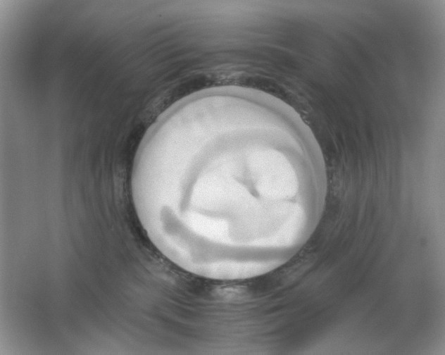 X0000063470283200602172004