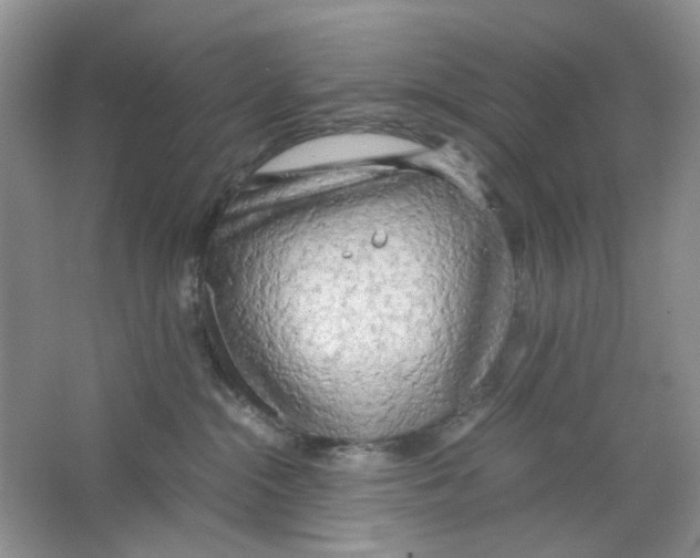 X0000063470284200602172004