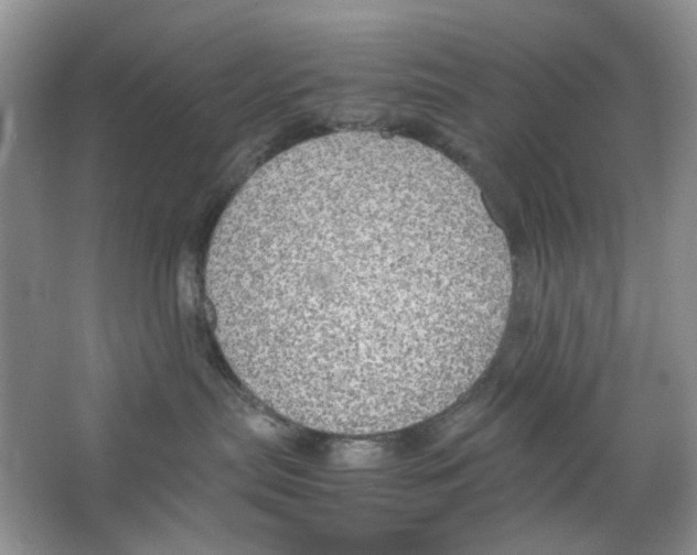 X0000063470287200602172004