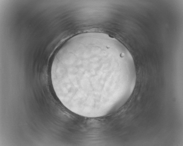 X0000063470290200602172003