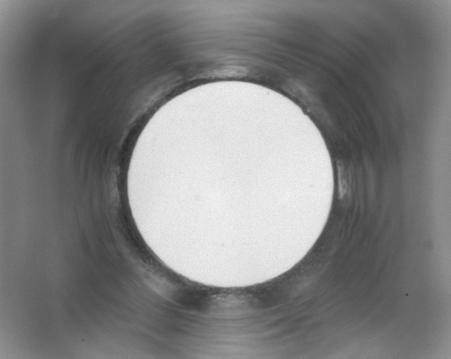 X0000063470300200602172003