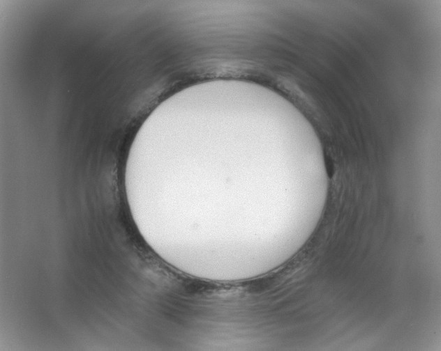 X0000063470306200602172003