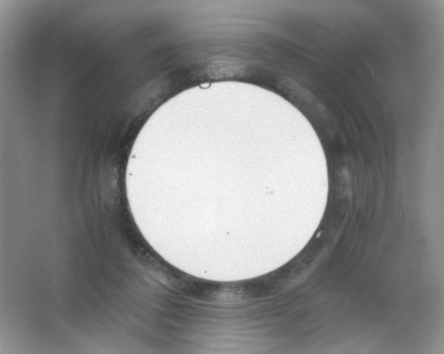X0000063470308200602172003