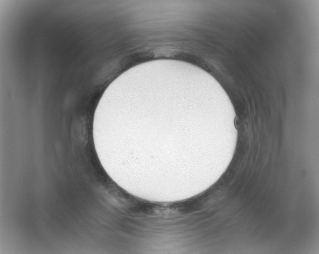 X0000063470311200602172003