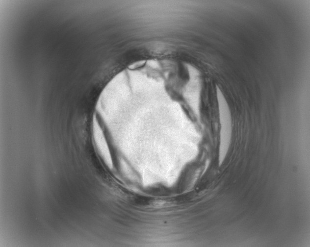 X0000063470319200602172002