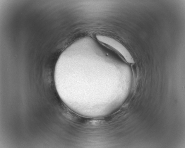 X0000063470323200602172002