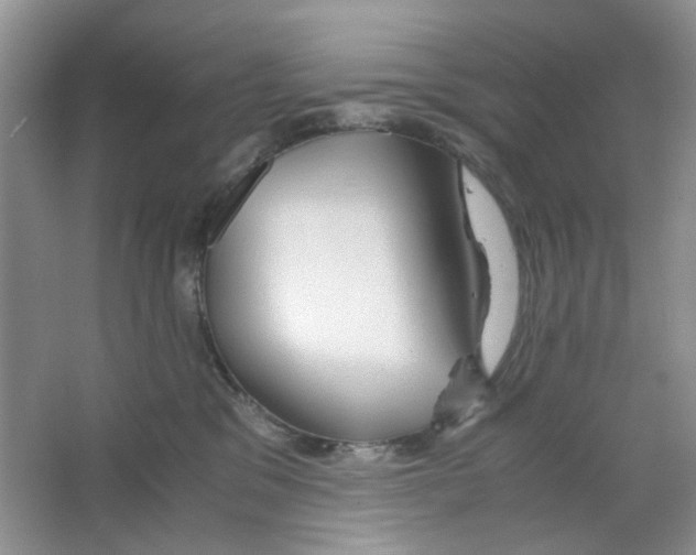 X0000063470329200602172002