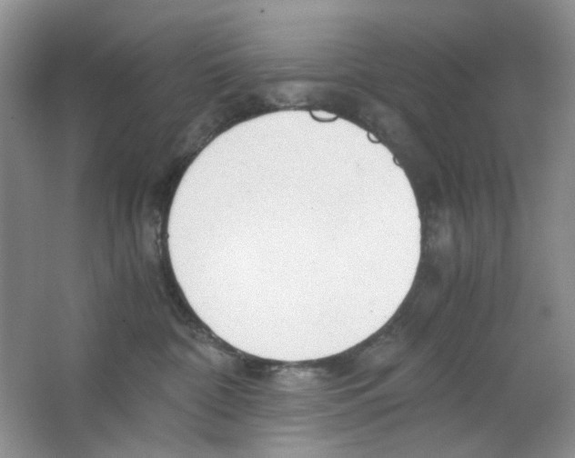 X0000063470332200602172002