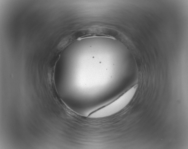 X0000063470333200602172002