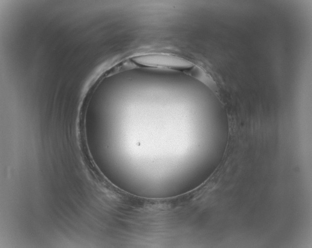 X0000063470340200602172001