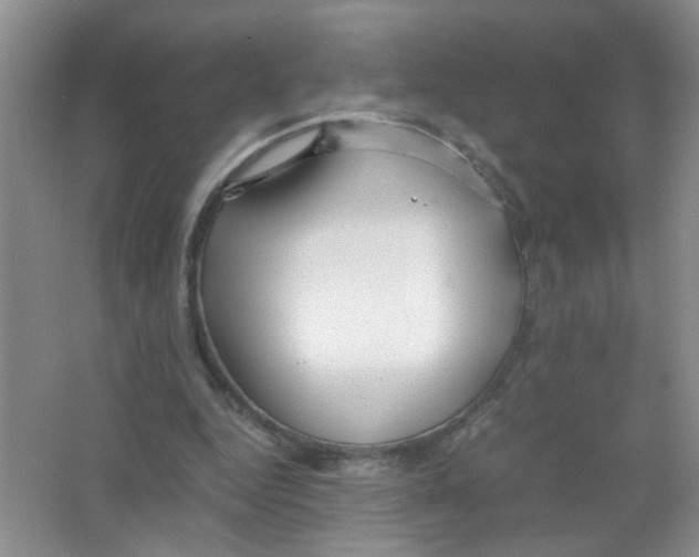 X0000063470344200602172001