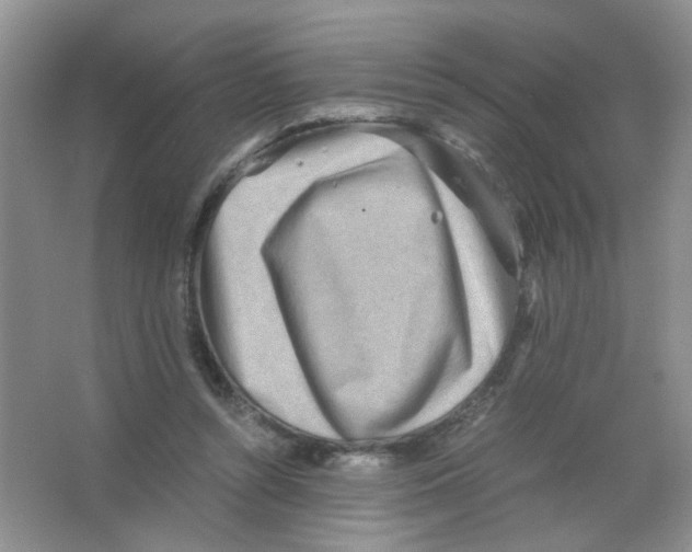 X0000063470352200602172001