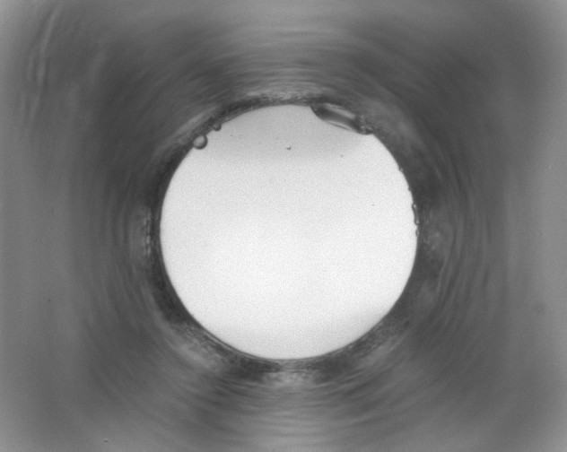 X0000063470356200602172002