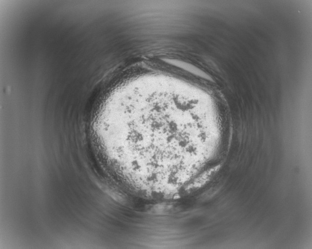 X0000063470366200602172002