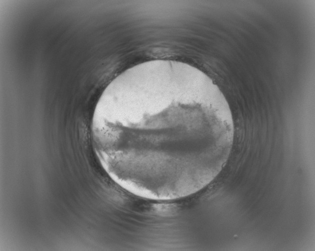X0000063470371200602172002