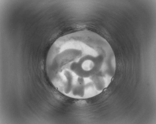 X0000063470374200602172002
