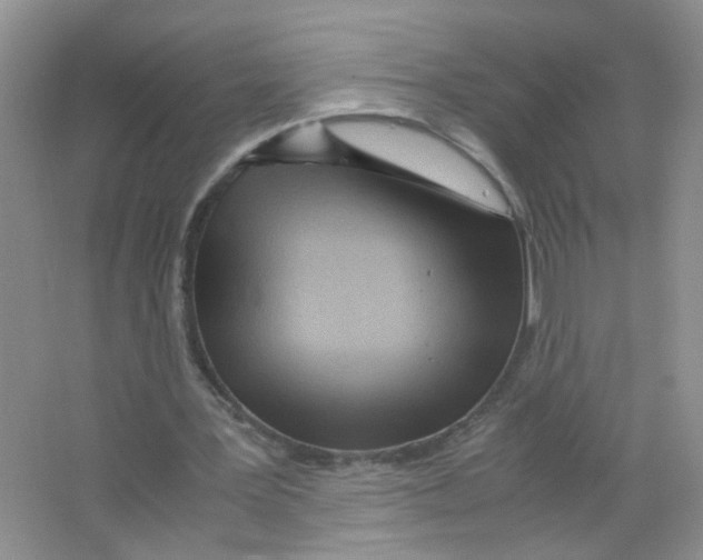 X0000063470387200602172001