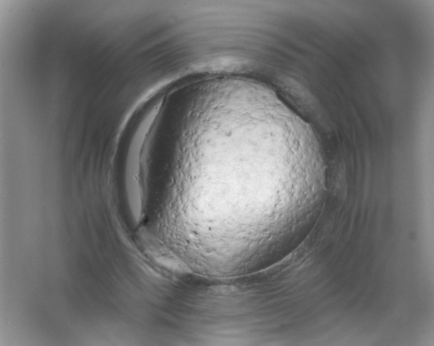 X0000063470392200602172001