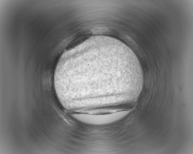X0000063470405200602172001