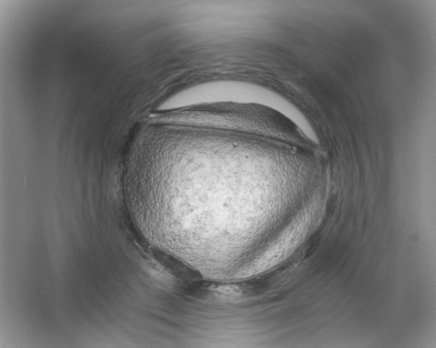 X0000063470409200602172001