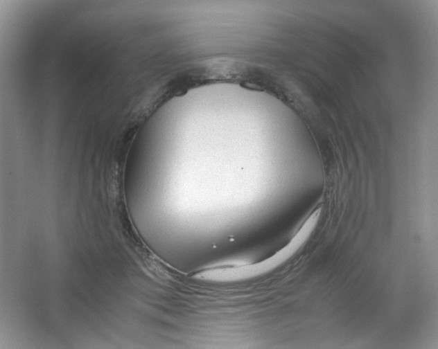 X0000063470413200602172001